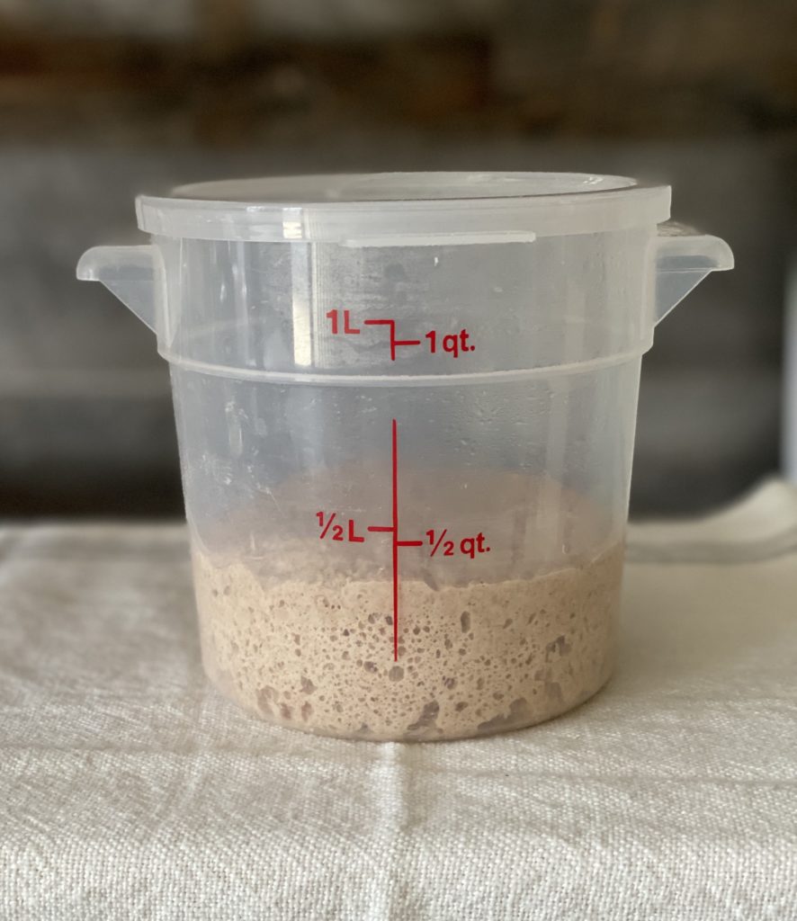 How To Feed/Refresh Your Sourdough Starter